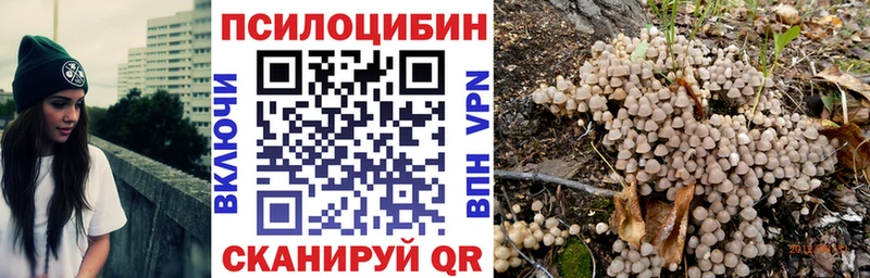 Галлюциногенные грибы Psilocybine cubensis  как найти   Старая Русса 