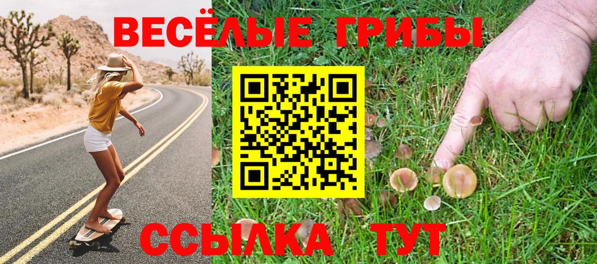 Старая Русса  Псилоцибиновые грибы Cubensis  Вход с VPN 